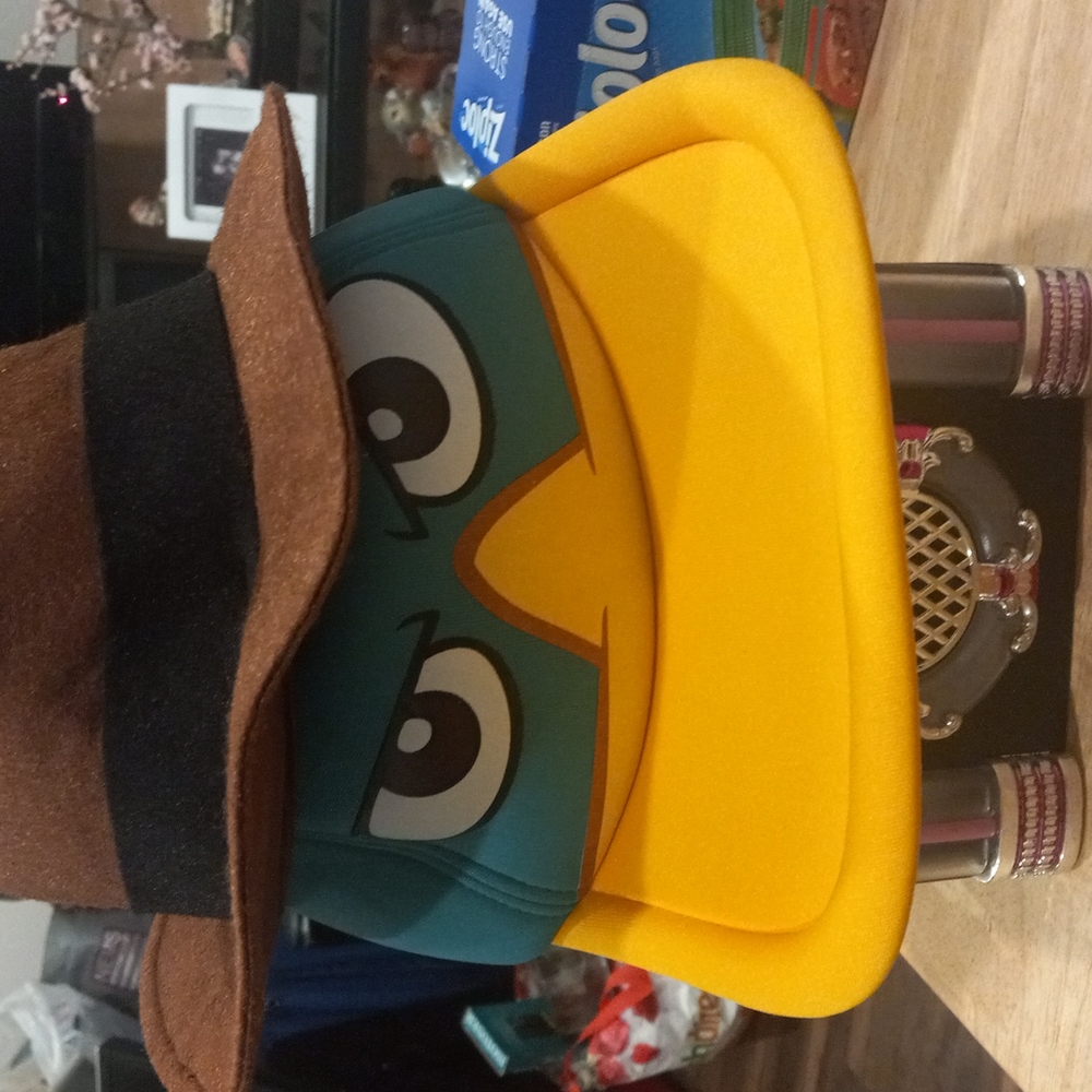 Disney Park Hat